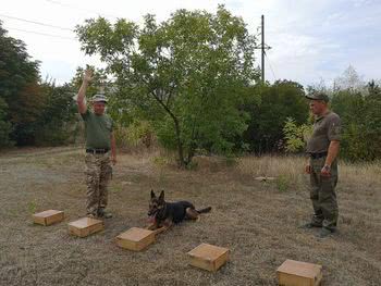 Кінологи обмінювалися досвідом
