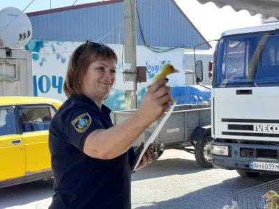 Громадський порядок в Викокопанівській ОТГ в ніжних руках «шерифа»