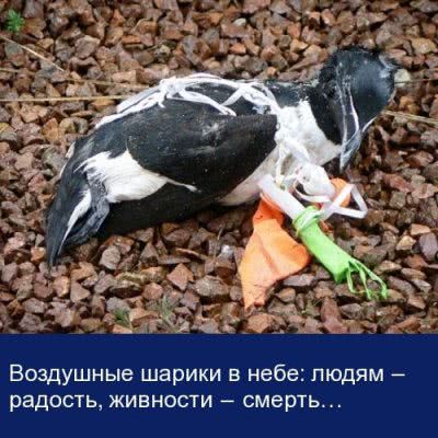 Херсонцев просят отказаться от воздушных шариков