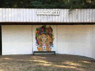 У Абрикосівки з’явилася візитівка селища