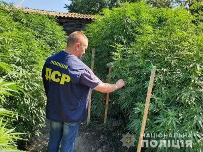 На Херсонщині поліцейські вилучили у двох наркоділків канабіс вартістю 2 мільйони гривень