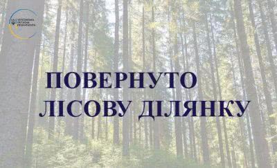 На Херсонщині прокуратура повернула державі лісову ділянку вартістю 3,5 млн грн