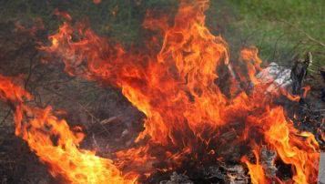 У Скадовську від недопалка загорівся будинок