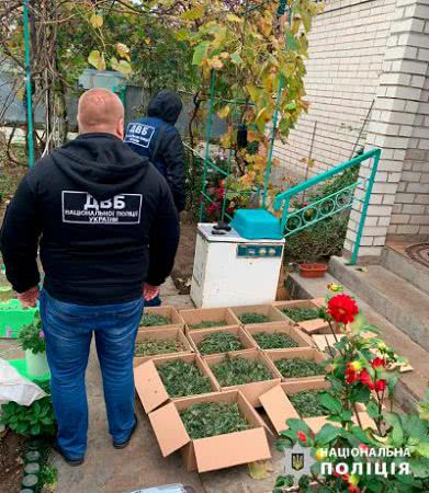 Правоохоронці Херсонщини вилучили понад 15 кілограмів марихуани