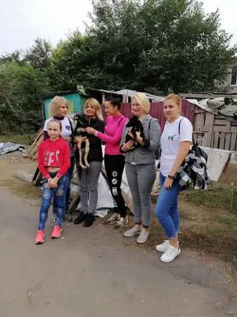 Херсонки допомагають безпритульним тваринам