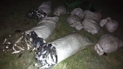 Прикордонники Херсонського загону виявили браконьєрів з уловом майже на 700 тисяч гривень