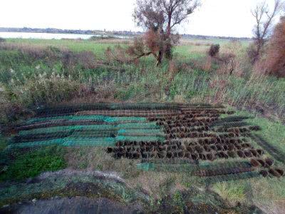 На Херсонщині водні поліцейські виявили незаконні знаряддя лову на території парку «Нижньодніпровський»