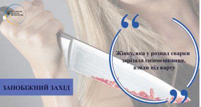 Жінку, яка у розпал сварки зарізала співмешканця, взяли під варту