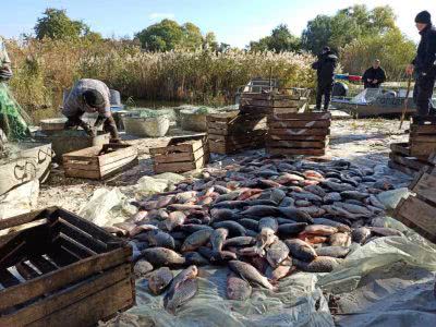 На Херсонщині водні поліцейські виявили браконьєрів, які виловили понад 700 кг риби
