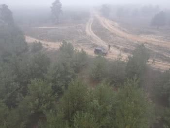 Лісові патрулі Херсонщини закликають купувати ялинки з чіпом