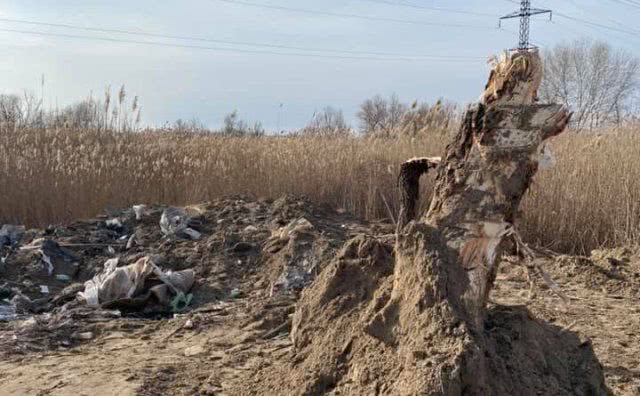 В островские плавни Херсона грузовиками привозят строительные отходы и засыпают землей