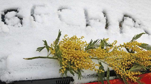 Какой будет погода 8 марта в Украине: синоптик дала прогноз