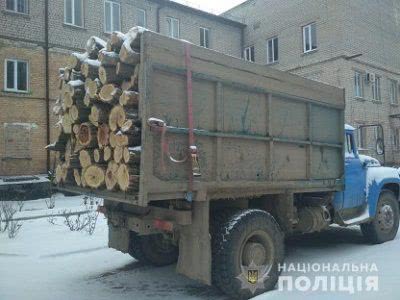 На Херсонщині поліцейські зупинили вантажівку з 12 кубометрами акації без документів