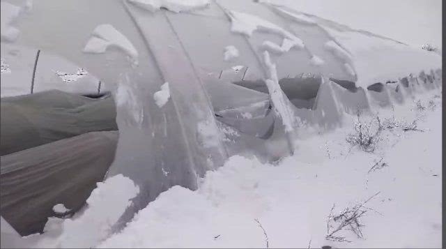 В Олешковском районе фермеру нанесли большой ущерб, возможно конкуренты