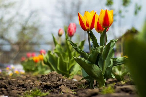 Погода в Украине в апреле: синоптики дали подробный прогноз на месяц