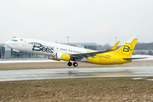 Bees Airline обещает рейсы в Херсон