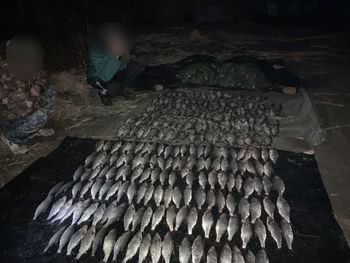 В озері Безмен виявлено порушників, які завдали збитків майже на 55 тис. грн