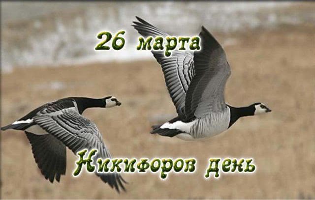 Народные приметы на 26 марта 2021 года: что можно и чего нельзя делать в этот день