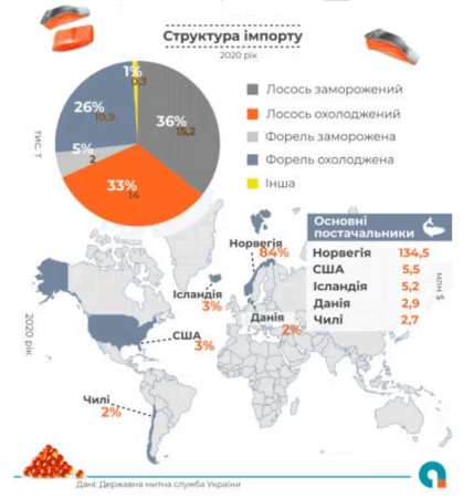Красная рыба в Украине: откуда завозят форель и лосося Красная рыба в Украине: откуда завозят форель и лосося - фото 3