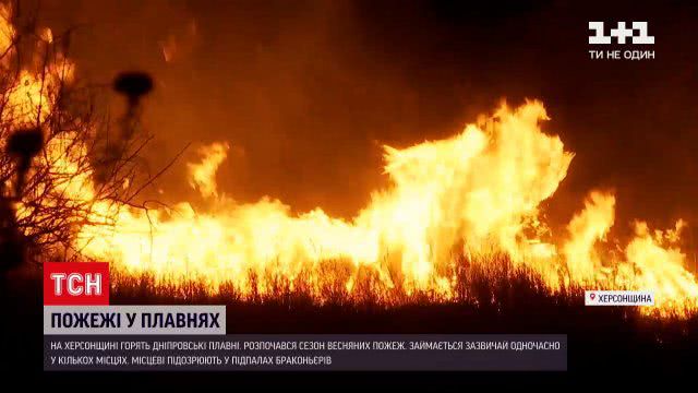 На Херсонщине горят днепровские плавни