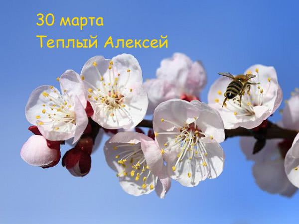 Праздник Теплого Алексея 2021: дата и приметы