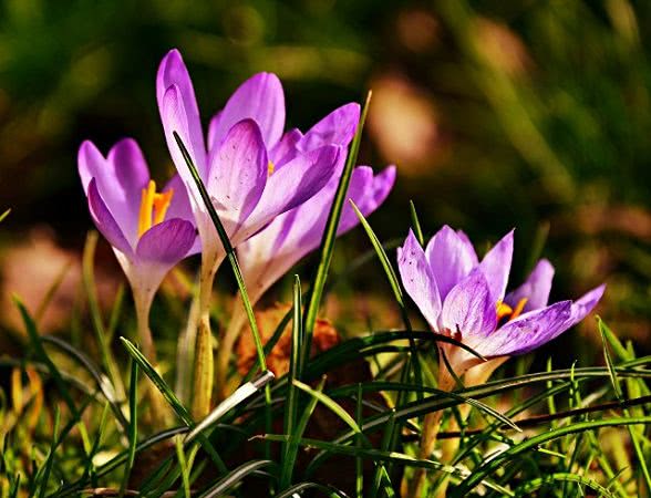 23 марта: какой праздник, приметы, именинники дня и что нельзя делать