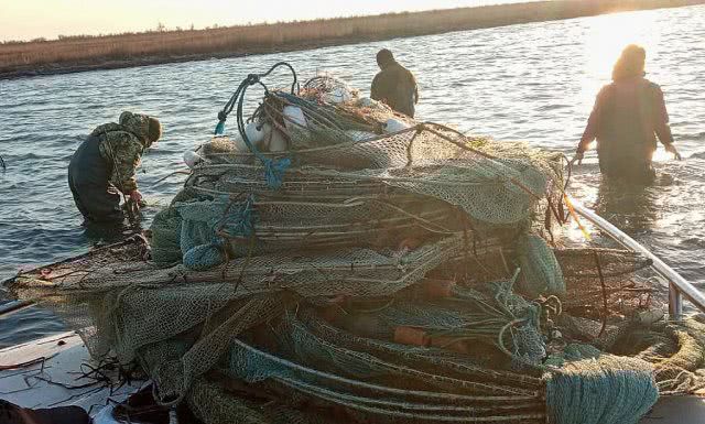 За сутки пограничники Херсонского отряда обнаружили полсотни браконьерских ловушек