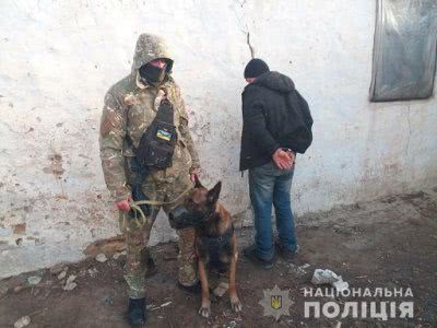 Вівчарка Лаккі допоміг оперативникам затримати серійного крадія