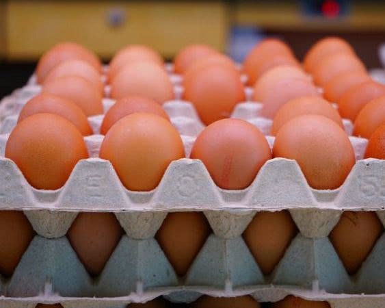Производство яиц в Украине с начала года сократилось на 16%