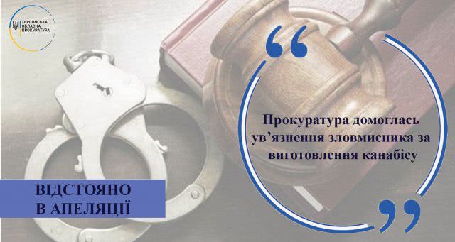 Прокуратура добилась заключения злоумышленника за изготовление марихуаны