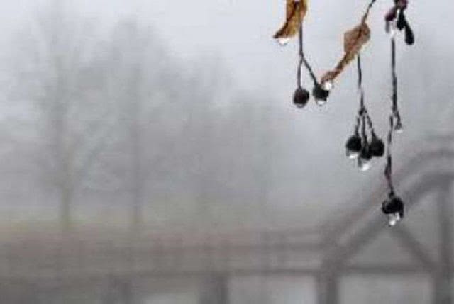 Дождливую туманную погоду обещают завтра херсонские синоптики