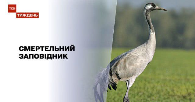Почему в заповеднике "Аскания Нова" становится все меньше животных