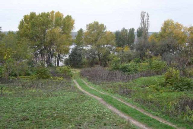 На Херсонщині виступають проти ліквідації лісових господарств