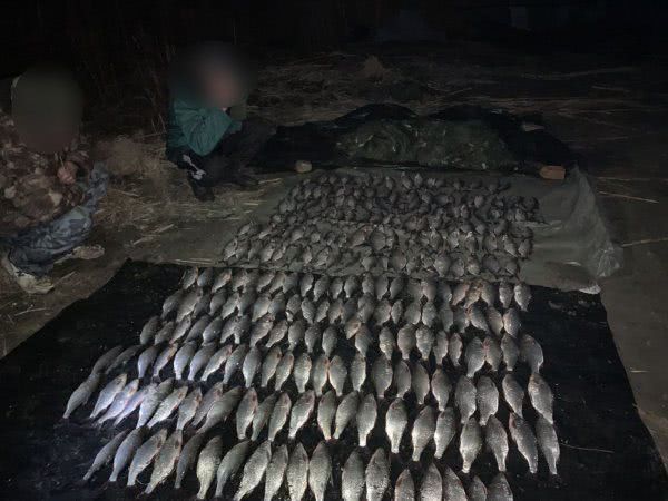 Таранок и лещей на 55 тысяч гривен наловили браконьеры под Херсоном