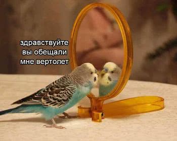Екс-губернатор Херсонської області оскандалився на міжнародному рівні