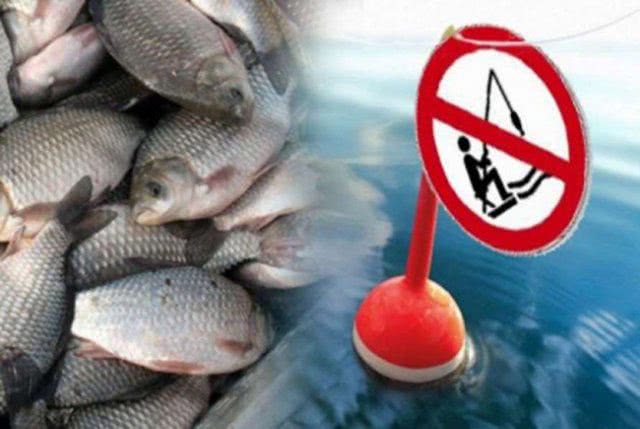 С первого апреля начинается нерестовый запрет на вылов водных биоресурсов