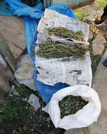 В Каховке полицейские нашли у местного жителя мешок конопли