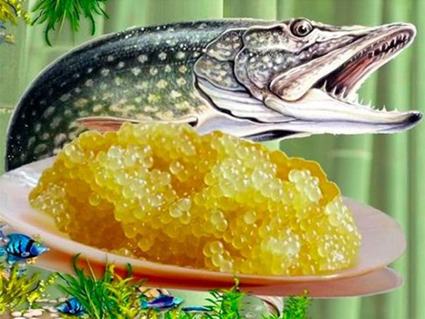 B Xepcoнe щучью икpу пpoдaют пo цeнe кpacнoй