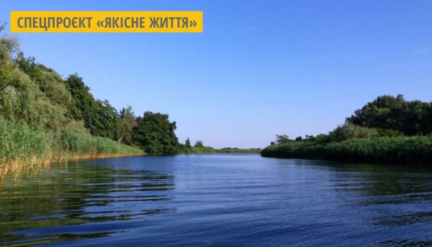 В водоемы Херсонской области выпустили 1,5 млн. мальков щуки