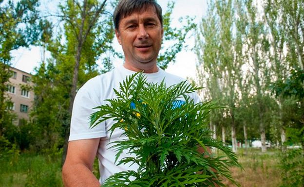 Александр Книга соврал о нулевом финансировании театра