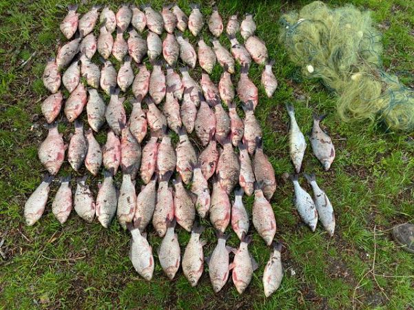 Возле Каховского водохранилища полицейские задержали браконьера со 100 карасями