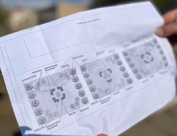 В Каховці висадять декоративні дерева, попереджають про відеоспостереження та штраф
