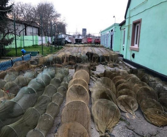 43 браконьерских ловушки с уловом более чем на 2 миллиона гривен - сутки пограничников Херсонского отряда