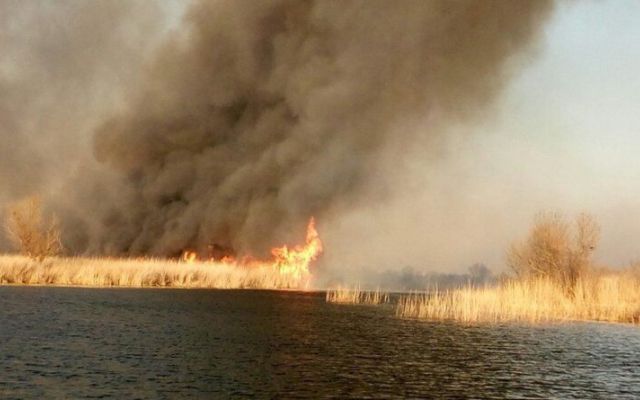 Подростки ради забавы жгут плавни в Херсоне