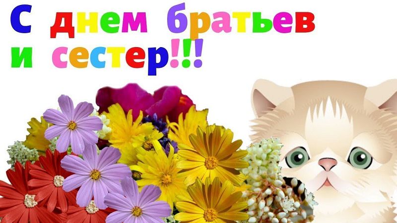 Открытка в День братьев и сестер