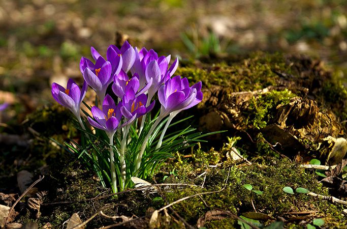 какой сегодня праздник 5 апреля