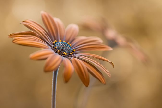 праздник сегодня 29 апреля