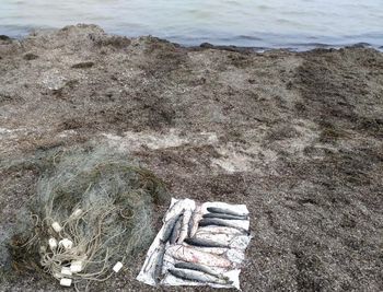 На Херсонщині прикордонники виявили браконьєра