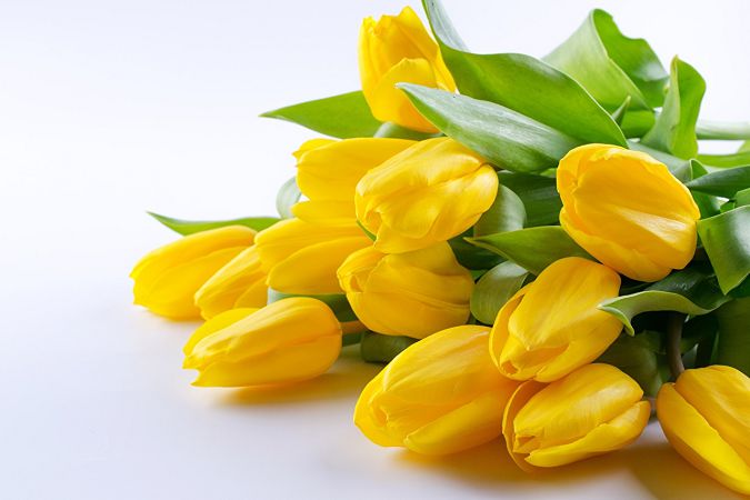 день ангела 8 апреля