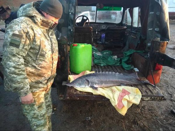 Херсонские пограничники обнаружили браконьеров с краснокнижным уловом на Николаевщине